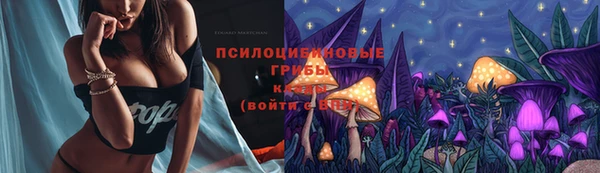 тгк Вяземский