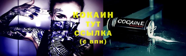 тгк Вяземский