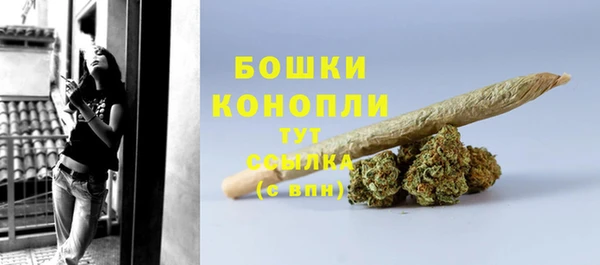 тгк Вяземский