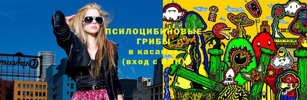 тгк Вяземский