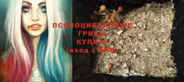 тгк Вяземский
