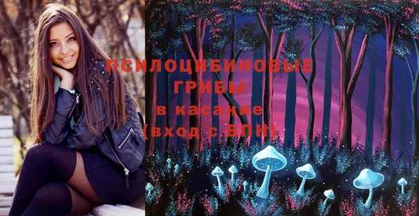 тгк Вяземский