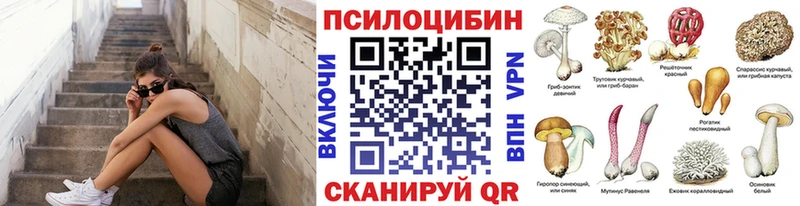 Галлюциногенные грибы мицелий  Новошахтинск 